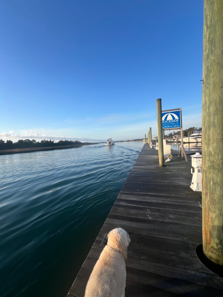 The first of many… Beautiful Blue Adventures